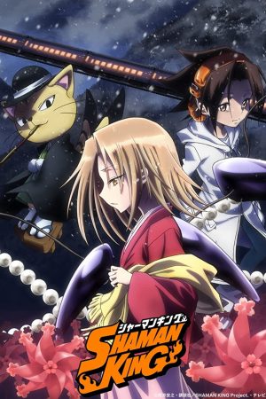 Shaman King: Vua pháp thuật